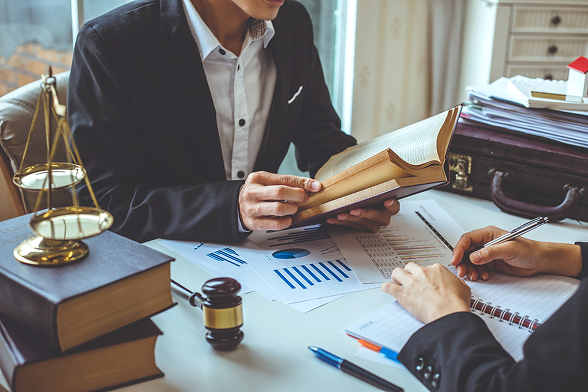 Legal & Professional Services