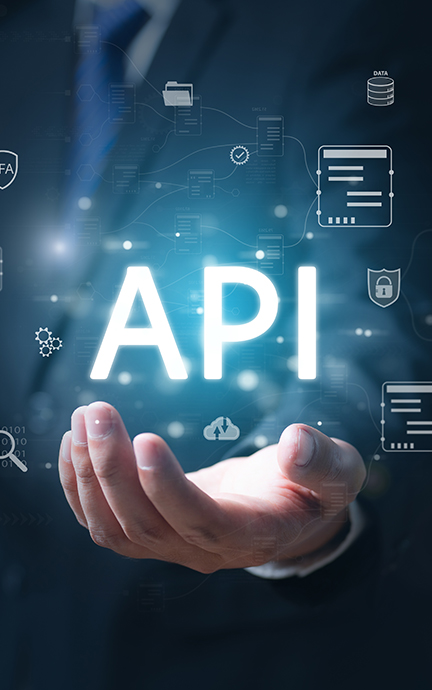 API Integration