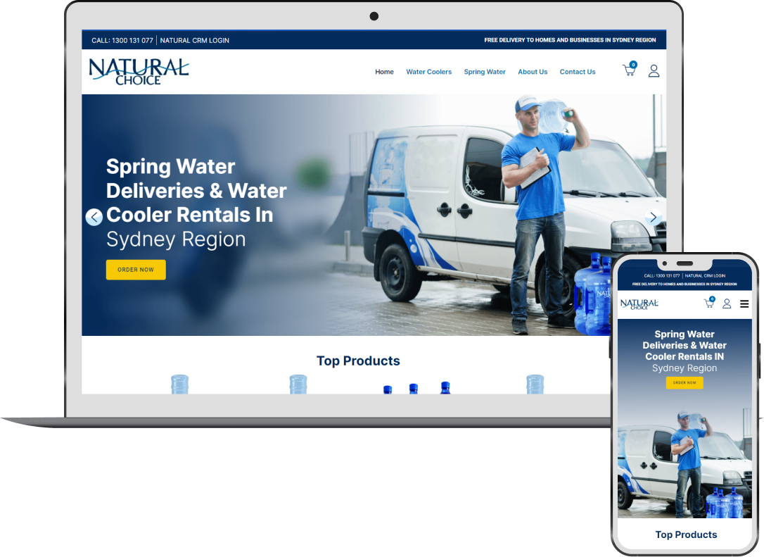 Ecommerce Store's Success