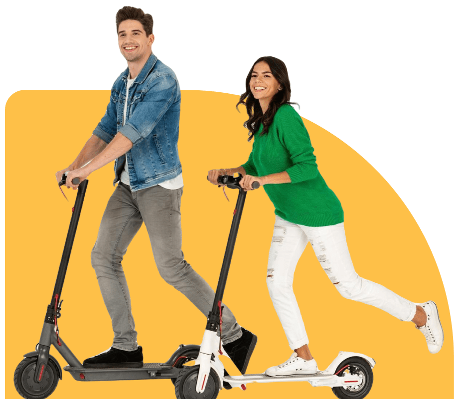 Google Search & Shopping Ads