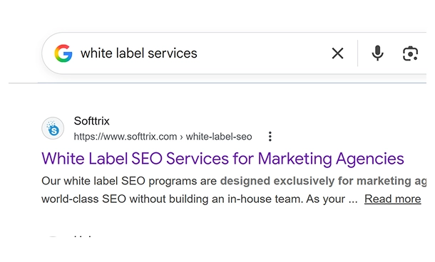 Comprehensive SEO Audit